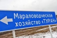 В Туве официально ввели в эксплуатацию подъездную дорогу к туристской базе при мараловодческом хозяйстве «Туран»